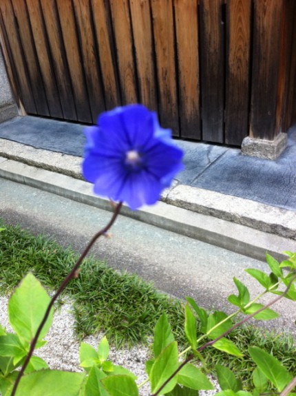 写真 (2)