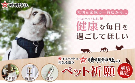 ペット,健康,お守り,祈願