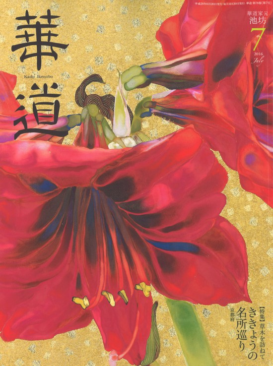 kadou7