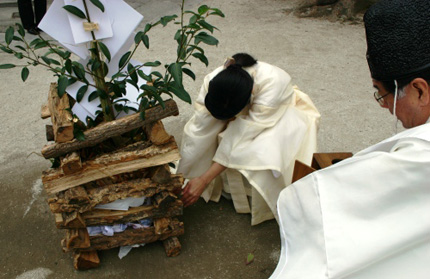 goma1.jpg