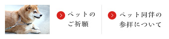 ペット同伴の参拝について