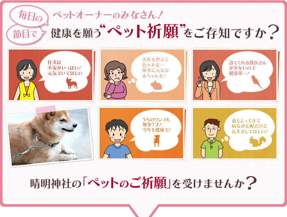 ペットオーナーのみなさん！健康を願う”ペット祈願”をご存じですか？